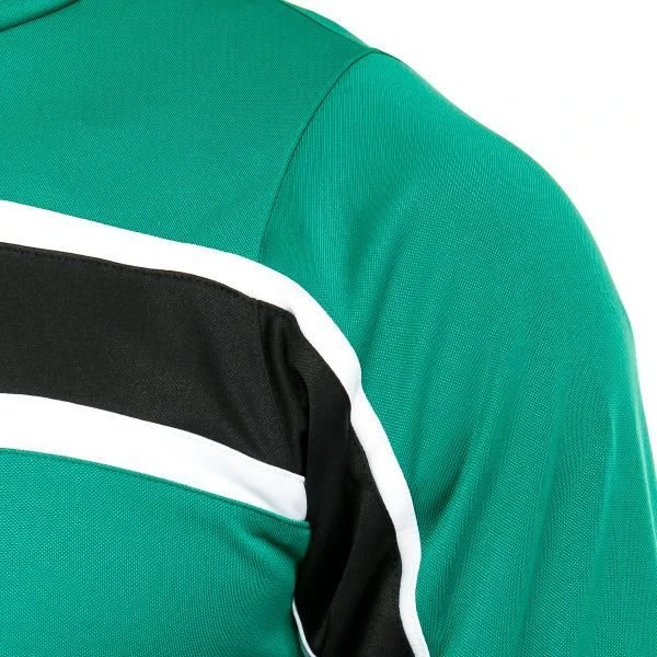 Спортивный костюм Europaw TeamLine зелено-черный europaw316