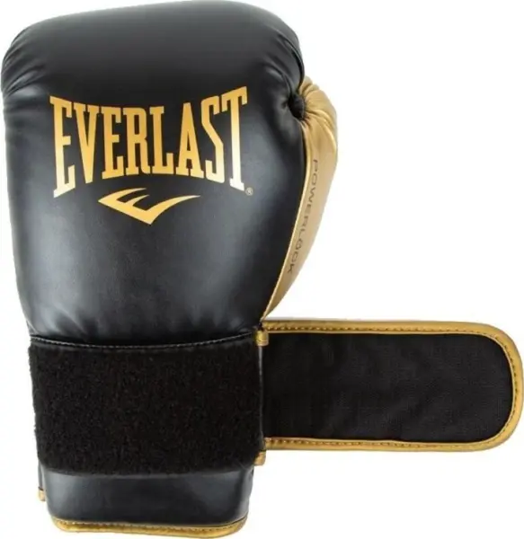 Перчатки боксерские Everlast POWERLOCK 2R TRAINING GLOVES черно-золотые (10 унций) P00002661