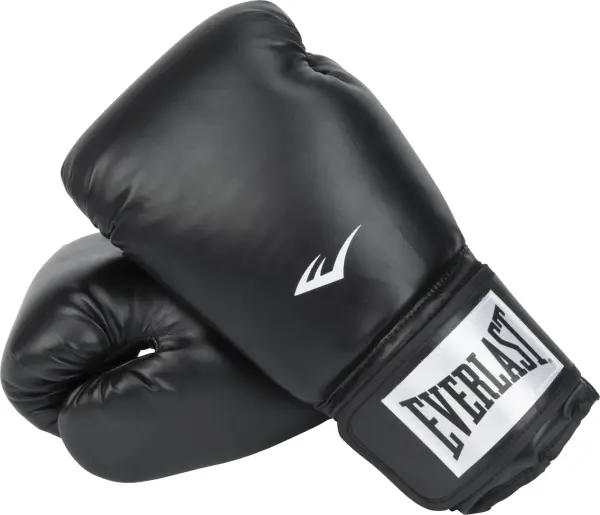 Перчатки боксерские Everlast PROSTYLE 2 BOXING GLOVES черные (14 унций) P00003075