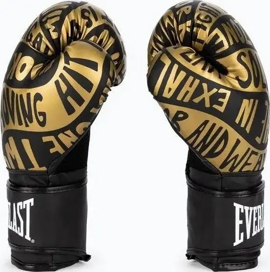 Рукавички боксерські Everlast SPARK TRAINING GLOVES чорно-золоті (12 унцій) 919580-70-8112