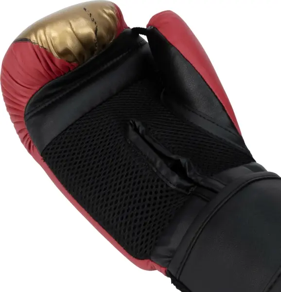 Рукавички боксерські дитячі Everlast PROSPECT 2 BOXING GLOVES червоно-золоті (6 унцій) P00002973