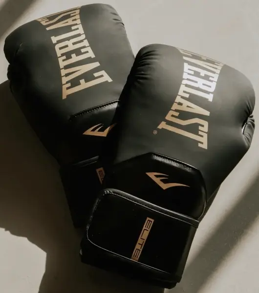 Рукавички боксерські Everlast ELITE 2 BOXING GLOVES чорно-золоті (10 унцій) P00003270