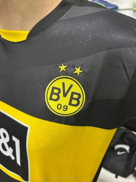 Футбольна форма Боруссія Дортмунд (Borussia Dortmund) 2024-2025 виїзна темно-сіро-чорно-жовта F0110