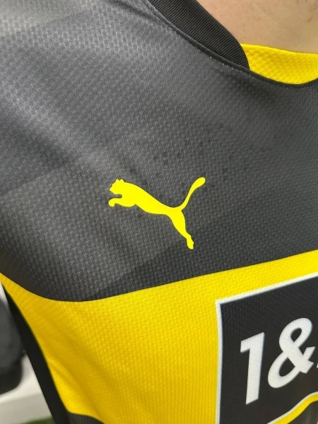 Футбольна форма Боруссія Дортмунд (Borussia Dortmund) 2024-2025 виїзна темно-сіро-чорно-жовта F0110