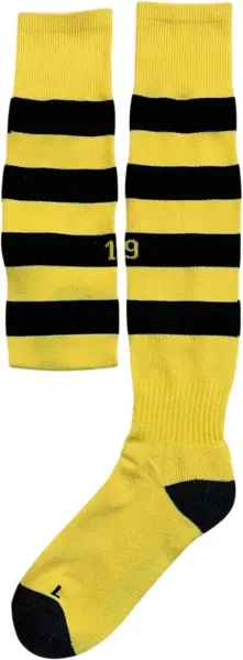 Гетри футбольні Боруссія Дортмунд (Borussia Dortmund) 2023-2024 домашні жовто-чорні F0701