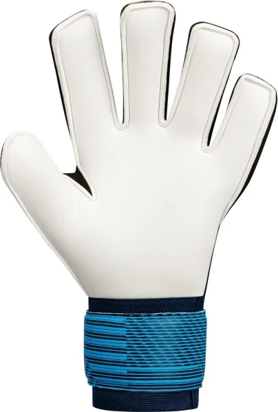 Вратарские перчатки Jako PERFORMANCE BASIC RC сине-белые 2574-930