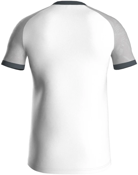Футболка джерси Jako ICONIC S/S бело-серая 4224-016