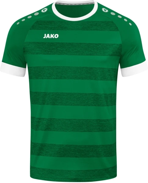 Футболка джерси Jako CELTIC MELANGE S/S зелено-белая 4214-200