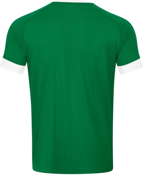 Футболка джерси Jako CELTIC MELANGE S/S зелено-белая 4214-200
