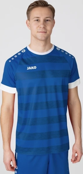 Футболка джерси Jako CELTIC MELANGE S/S сине-белая 4214-410