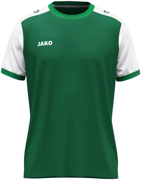 Футболка джерси Jako DYNAMIC S/S зелено-белая 4270-205