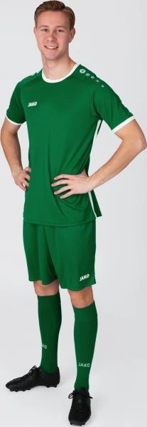 Футболка джерсі Jako PRIMERA S/S зелено-біла 4212-200