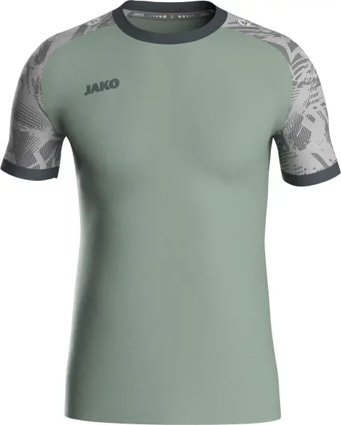 Футболка джерси Jako ICONIC S/S мятно-серая 4224-238