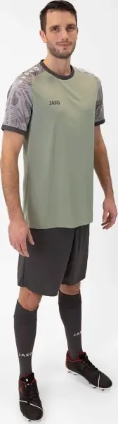 Футболка джерси Jako ICONIC S/S мятно-серая 4224-238