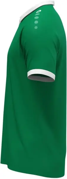 Футболка джерсі Jako GLORY S/S зелено-біла 4251-206