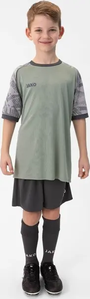 Футболка джерсі дитяча Jako ICONIC S/S м'ятно-сіра 4224-238