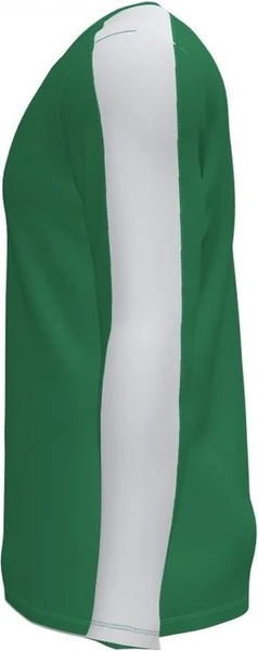 Футболка с длинным рукавом Joma ACADEMY зелено-белая 101658.452