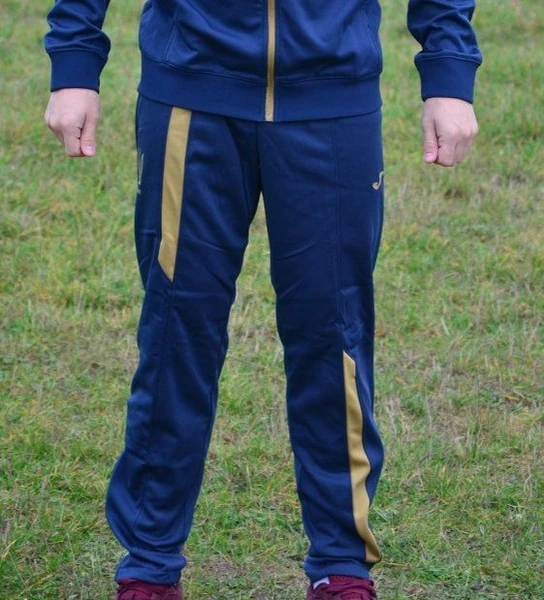 Штаны спортивные тренировочные сборной Украины Joma FFU210011.18 темно-синие