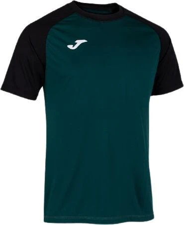 Футболка Joma TEAMWORK зелено-черная 102218.481