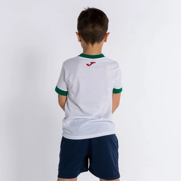 Футболка детская Joma MERON бело-зеленая 500348.204
