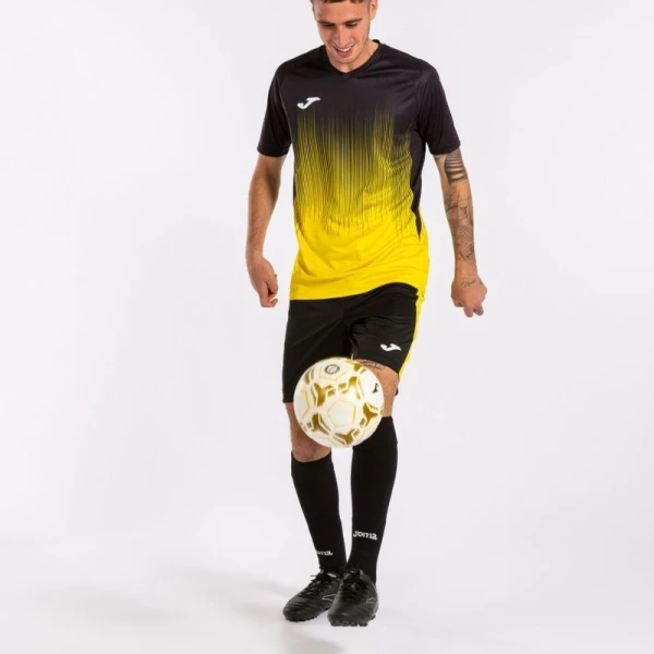 Футболка Joma TIGER IV чорно-жовта 102764.901