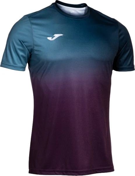 Футболка Joma PRO TEAM темно-сине-фиолетовая 103690.312