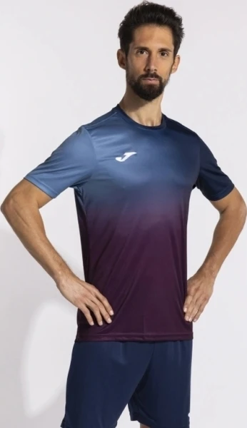 Футболка Joma PRO TEAM темно-сине-фиолетовая 103690.312