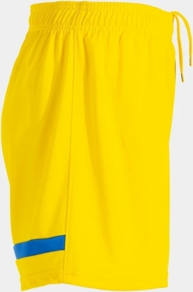Шорты женские Joma TOKIO желто-синие 902117.907