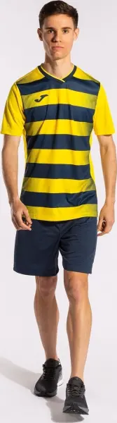 Футболка Joma EUROPA V жовто-темно-синя 102838.903