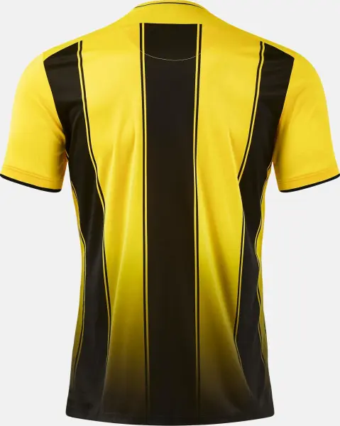 Футболка Joma TIGER VIII желто-черная 105243.901