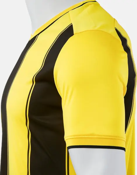 Футболка Joma TIGER VIII желто-черная 105243.901