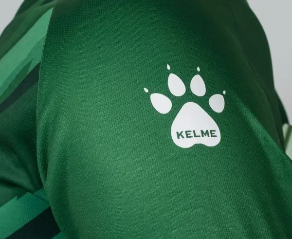 Комплект воротарської форми Kelme ZAMORA II зелений 7361ZB1256.9300