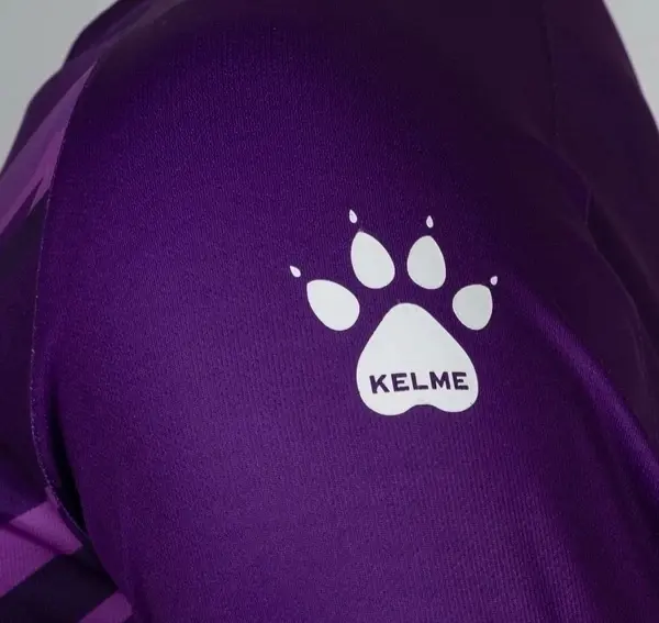 Комплект воротарської форми Kelme ZAMORA II фіолетовий 7361ZB1256.9500