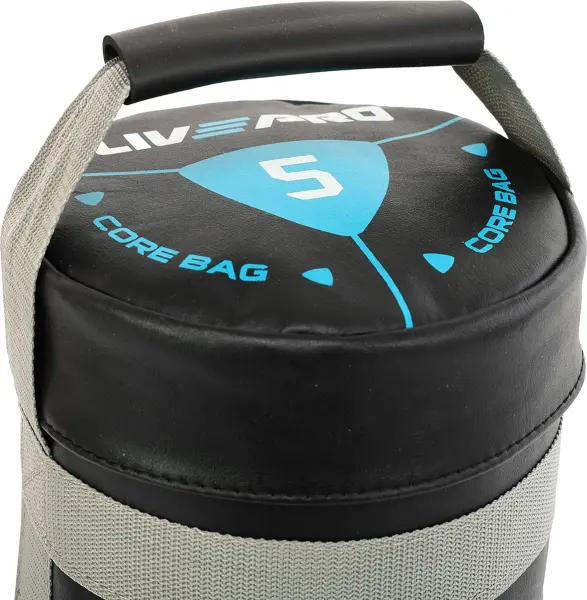 Мішок для кросфіту LivePro POWER BAG 5 кг чорно-сірий LP8120-5