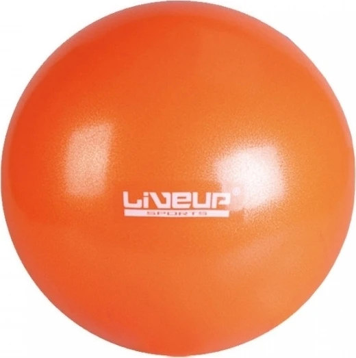 Мяч гимнастический LiveUp MINI BALL оранжевый LS3225-25o