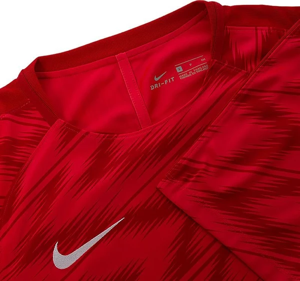 Футболка Nike Dry Poland Squad красная 893365-653