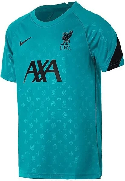 Підліткова футболка Nike Liverpool YOUTH Pre-Match CZ2753-300