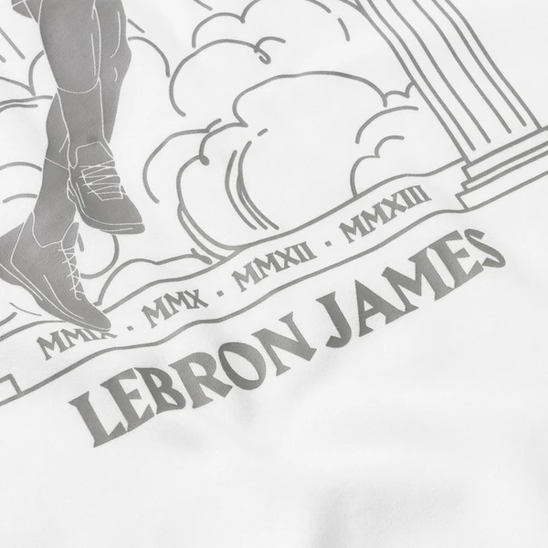 Футболка Nike NBA Lebron James Lakers MVP Dri-FIT Tee белая CT4001-100