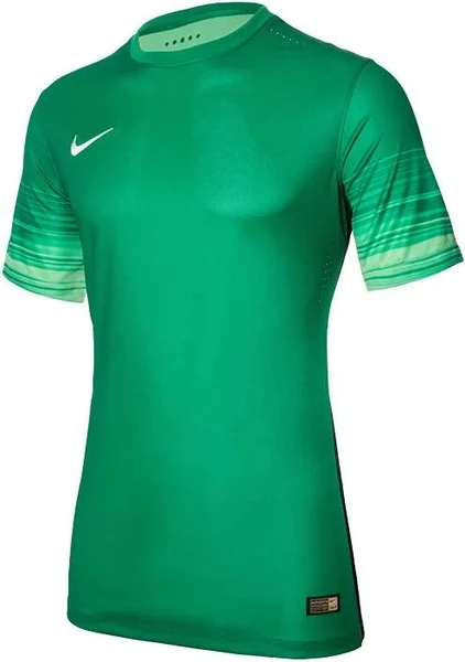 Футболка Nike CLUB GENIUS LS GK P JERSEY зеленая 678165-319