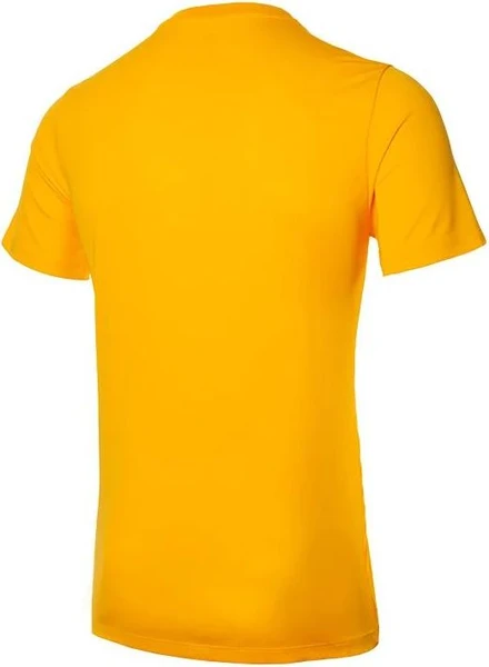 Футболка Nike PARK VI GAME JERSEY жовта 725891-739