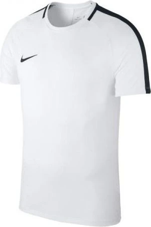 Футболка подростковая Nike DRY ACADEMY 18 бело-черная 893750-100