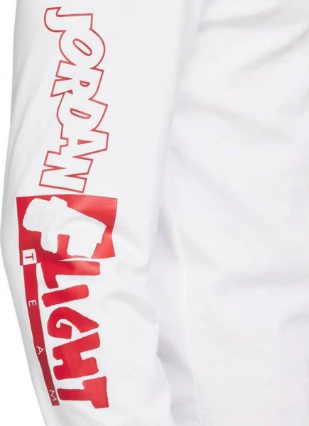 Свитшот Nike Jordan M J FLT TEAM LS CREW белый DH8944-100