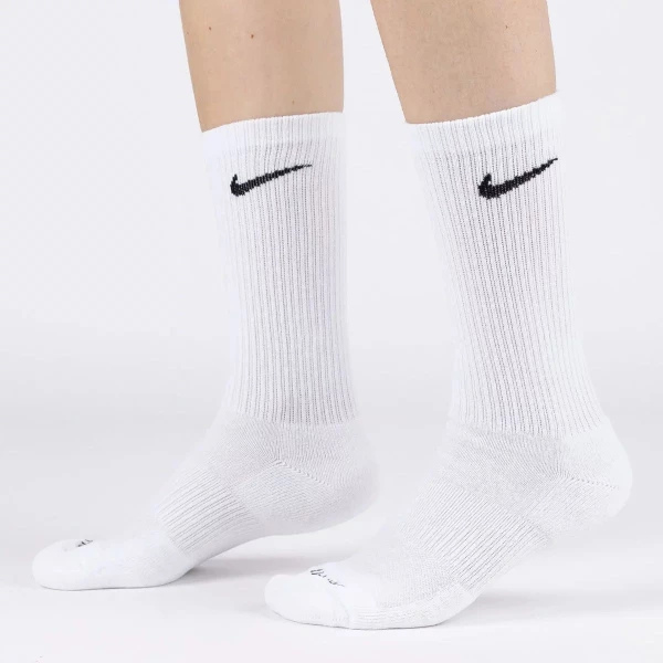 Шкарпетки Nike U NK EVERYDAY PLUS CUSH CREW різнокольорові SX6888-929