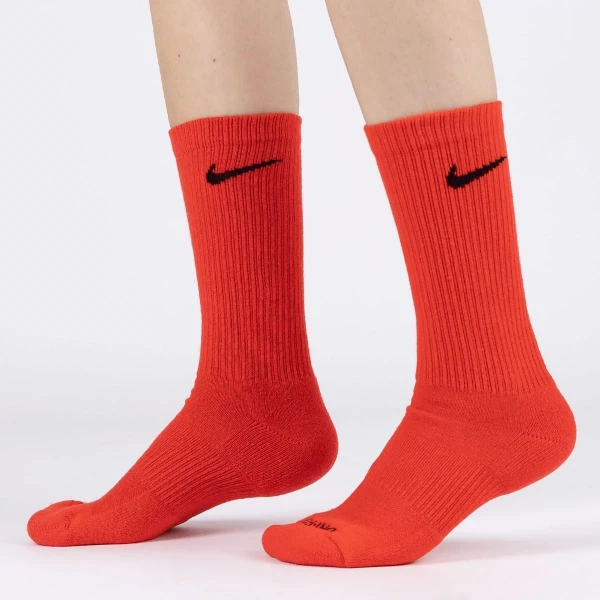Шкарпетки Nike U NK EVERYDAY PLUS CUSH CREW різнокольорові SX6888-929