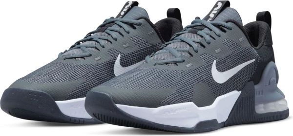 Кросівки Nike M AIR MAX ALPHA TRAINER 5 сірі DM0829-003