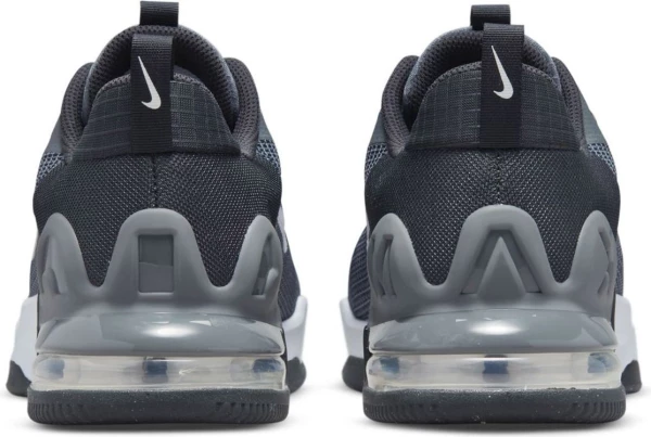 Кросівки Nike M AIR MAX ALPHA TRAINER 5 сірі DM0829-003
