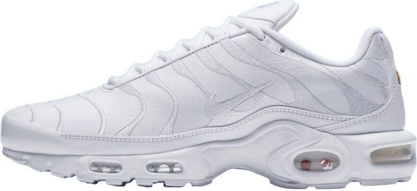 Кросівки Nike AIR MAX PLUS білі AJ2029-100