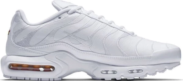 Кросівки Nike AIR MAX PLUS білі AJ2029-100
