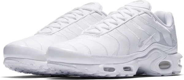 Кросівки Nike AIR MAX PLUS білі AJ2029-100