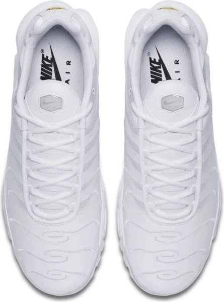 Кросівки Nike AIR MAX PLUS білі AJ2029-100
